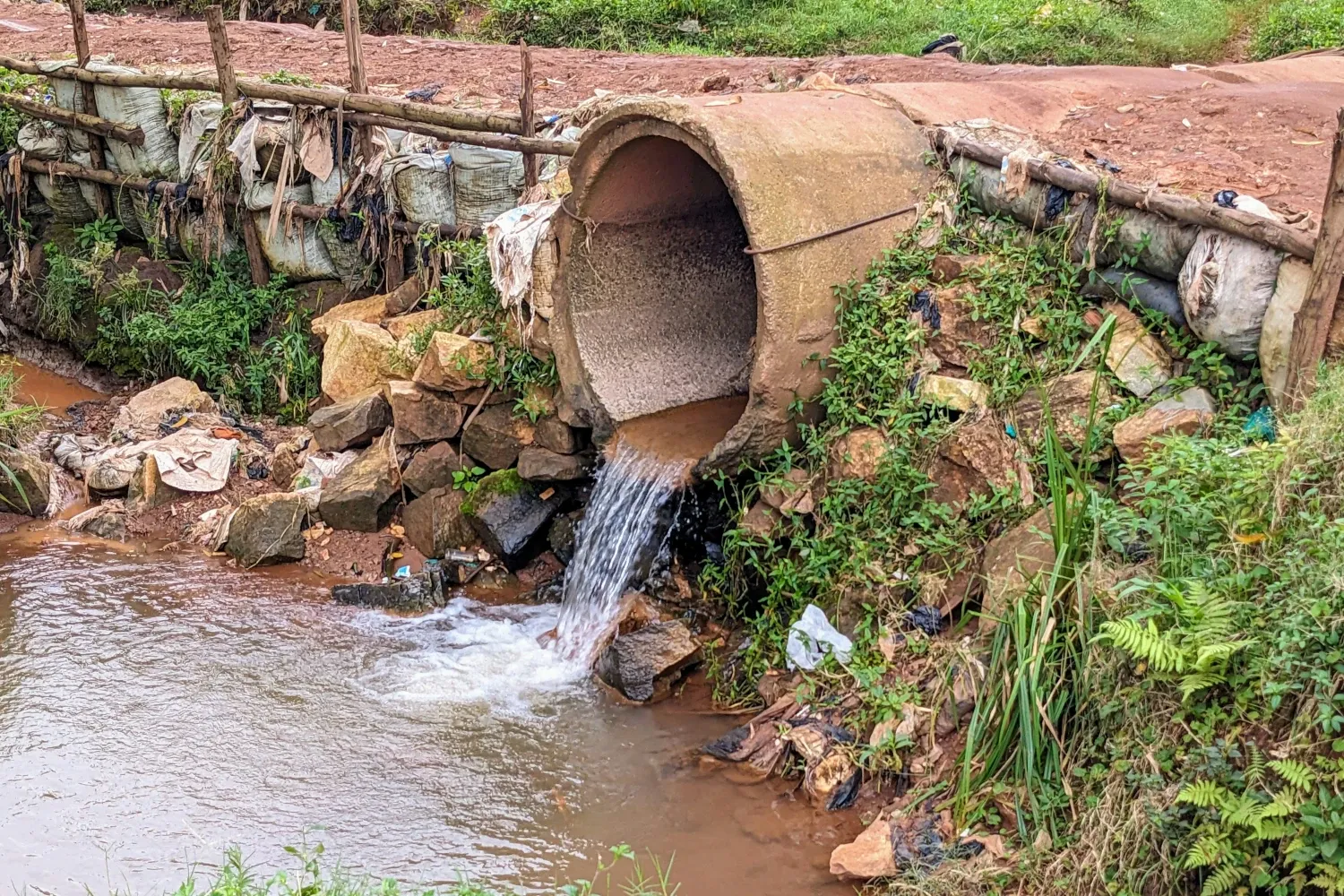 La imagen muestra un vertedero de aguas residuales proveniente de un conducto de drenaje. Este tipo de salida es común en sistemas de alcantarillado que vierten directamente en cuerpos de agua o canales. Sin embargo, la acumulación de basura y la vegetación circundante indican posibles problemas de mantenimiento y contaminación ambiental. Esto subraya la necesidad de una mejor gestión de aguas residuales y acciones de limpieza para proteger el entorno natural.