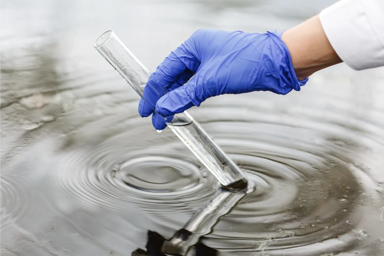 La imagen muestra a una persona, equipada con guantes de laboratorio, sumergiendo un tubo de ensayo en agua para realizar pruebas de calidad. Este proceso es crucial en el control ambiental y en la gestión responsable de recursos hídricos. Netjet desempeña un papel destacado en el sector, proporcionando tecnología avanzada para la supervisión y el tratamiento de agua, asegurando el cumplimiento de estándares medioambientales y promoviendo la sostenibilidad.