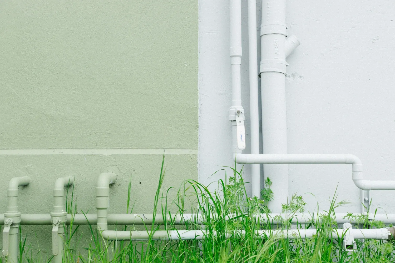 
La imagen muestra una pared de color verde claro con varias tuberías de PVC blanco adheridas a ella. Algunas de las tuberías corren horizontalmente cerca de la base de la pared, mientras que otras están verticalmente instaladas. Frente a la pared, hay un poco de césped y plantas que crecen a su alrededor, añadiendo un toque natural al entorno artificial de las tuberías. Este tipo de instalación de tuberías es común en exteriores de edificios, donde se maneja el sistema de drenaje o distribución de agua, con el propósito de gestionar el flujo de líquidos o gases de manera eficiente.