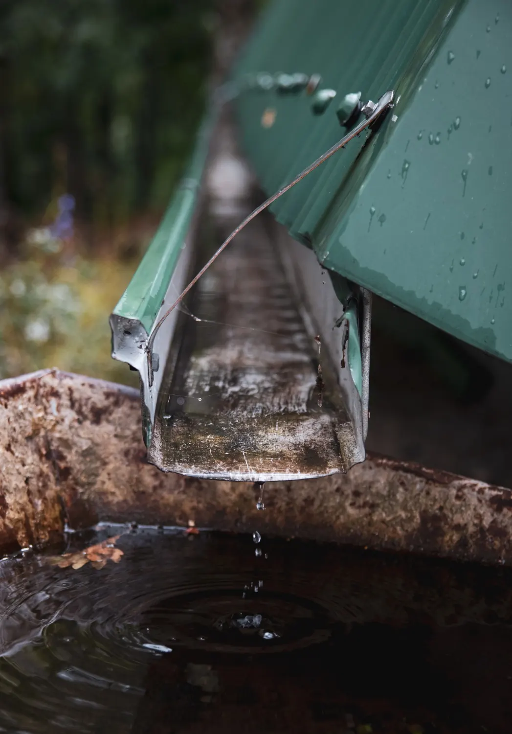 Lluvia bien aprovechada, los secretos de la recogida de aguas pluviales